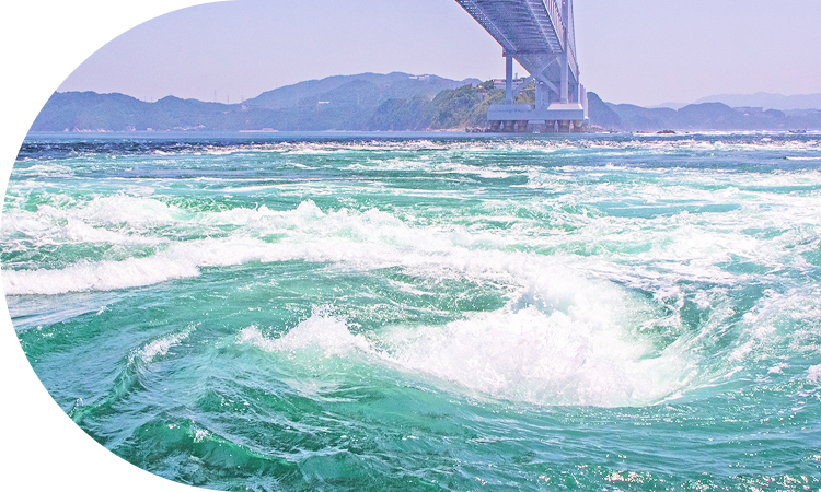 渦潮の鳴門の名を冠する<br>徳島県産ブランド<br>さつまいも