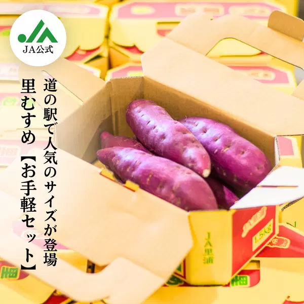 【お土産で人気♪】なると金時「里むすめ」お手軽セット