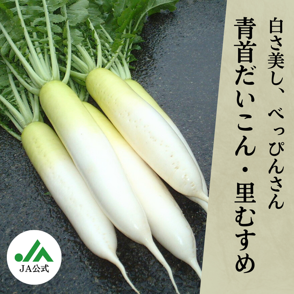 青首だいこん「里むすめ」 10㎏ 2L×8本入り | 鳴門金時・里むすめ