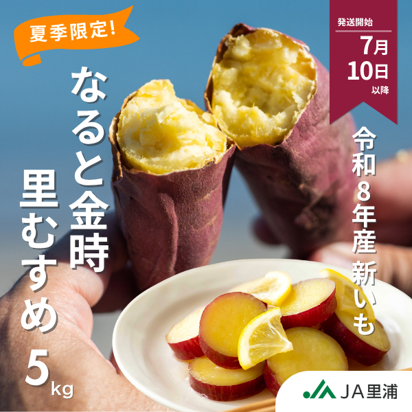 令和8年産 新いも】なると金時「里むすめ」5㎏ | 鳴門金時さつまいも
