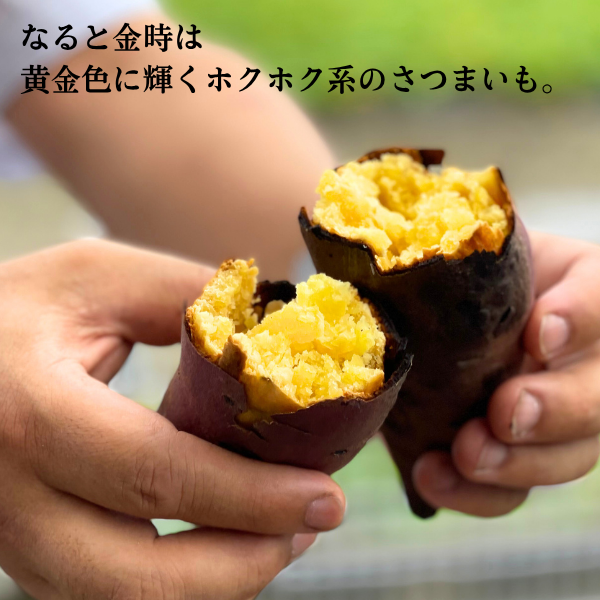 里むすめ・焼き芋アイスの商品画像 3