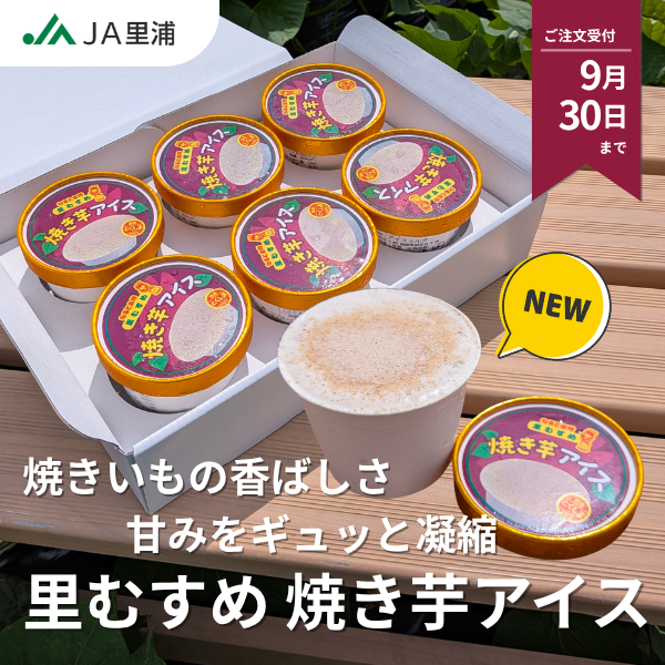 里むすめ・焼き芋アイスの商品画像 1