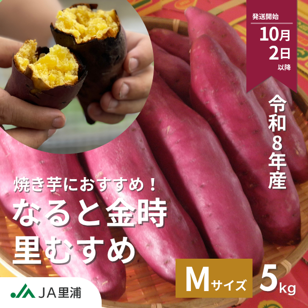 【焼き芋におすすめ！】里むすめ・M・令和7年産