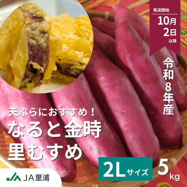 【天ぷらにおすすめ！】里むすめ・2L・令和7年産