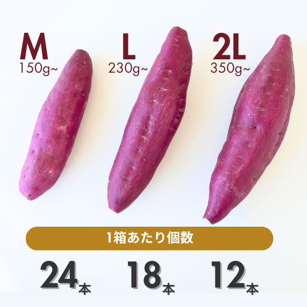 【天ぷらにおすすめ！】里むすめ・2L・令和８年産の商品画像 16