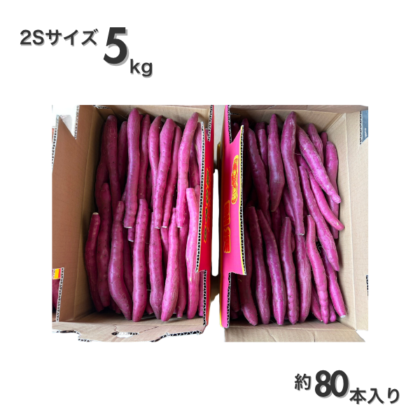 【令和8年産 里むすめ】スティック金時 5kgの商品画像 6