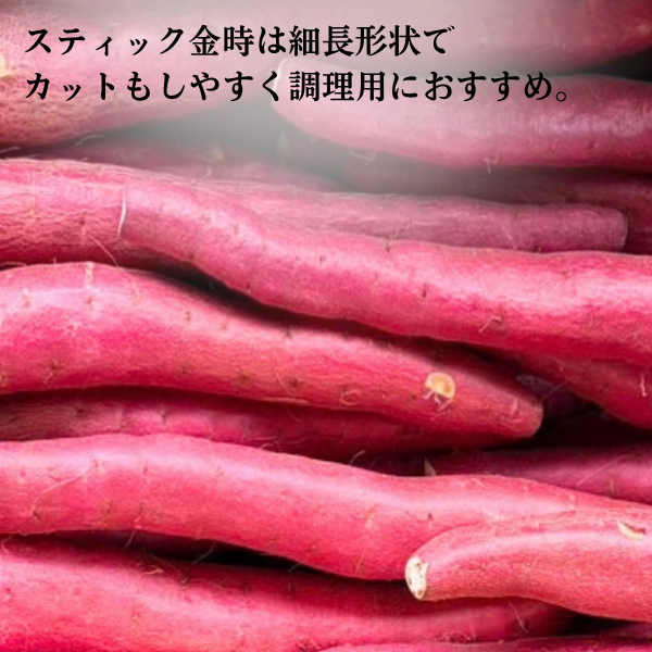 【令和8年産 里むすめ】スティック金時 5kgの商品画像 4