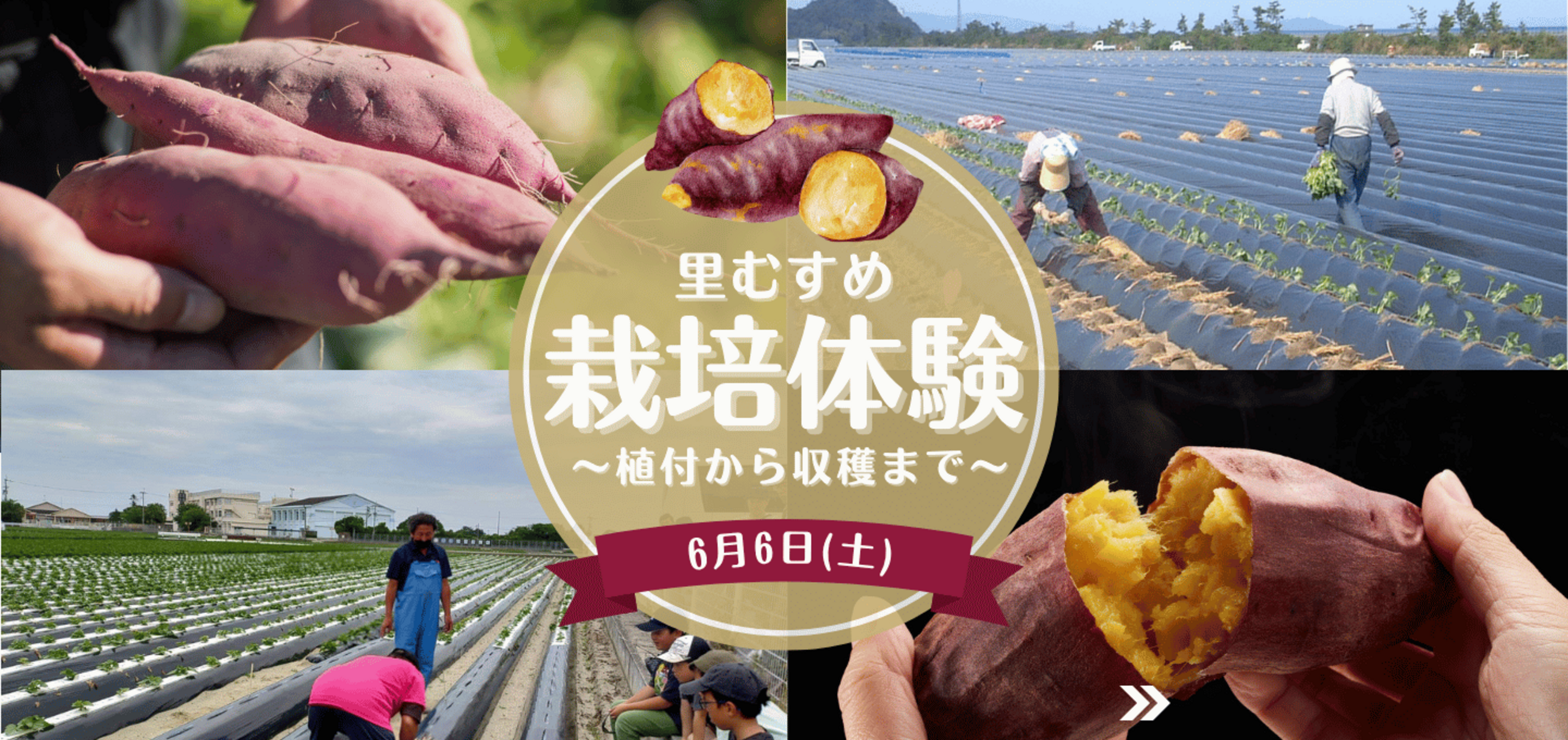 【参加者募集】里むすめ栽培体験